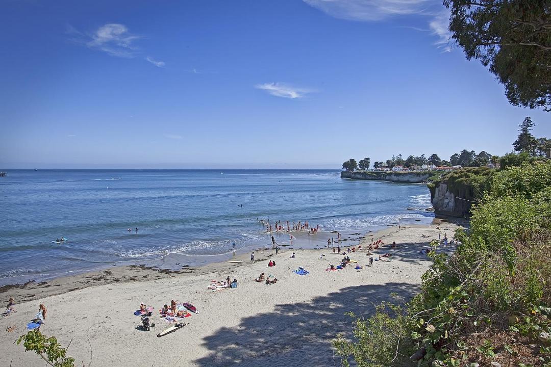 Photo of Others in Westside Santa Cruz