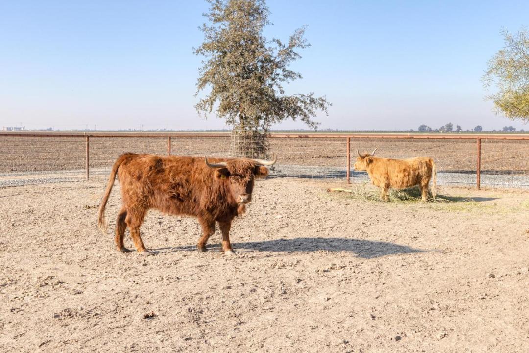 Photo of Others in Tulare