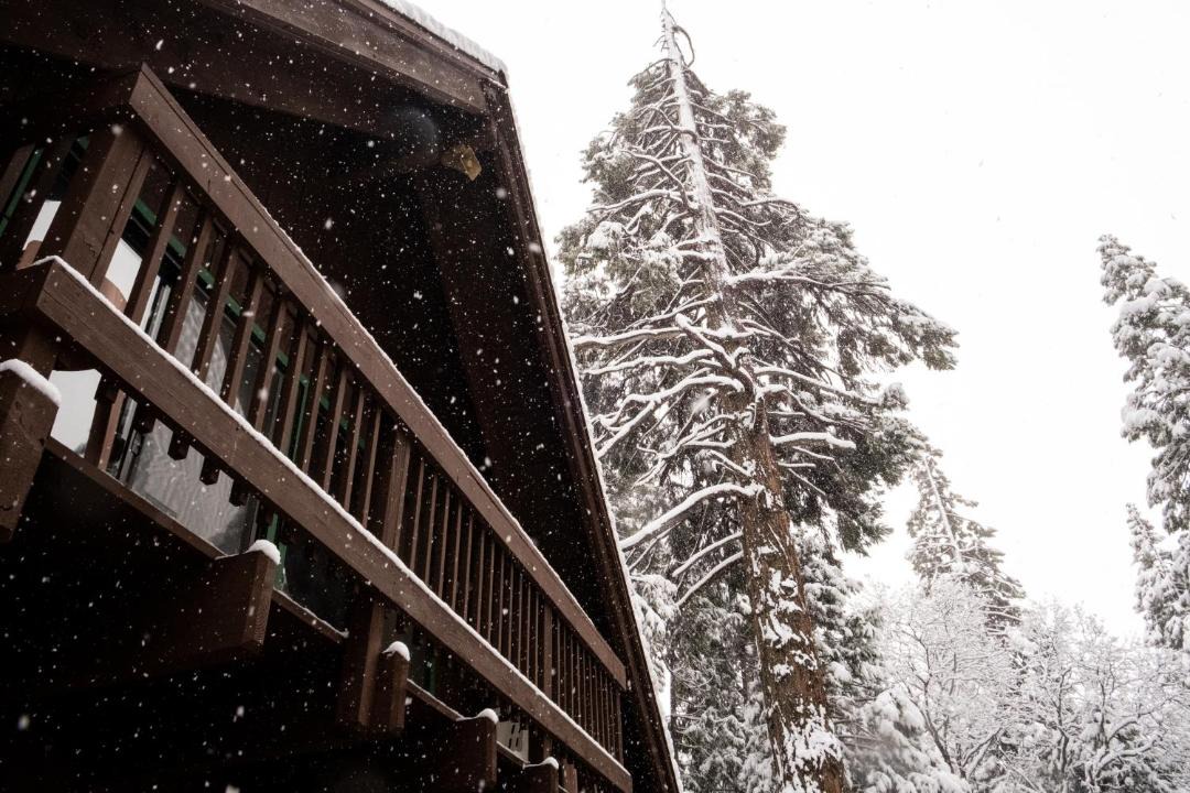 Photo of Others in Alta Sierra
