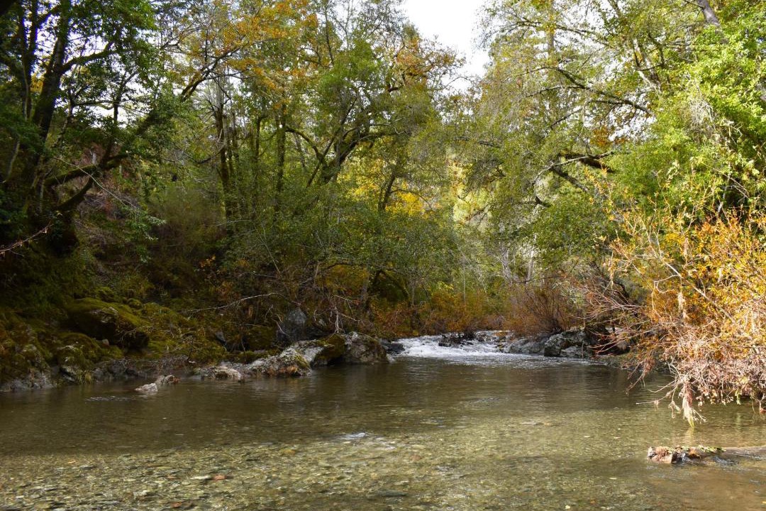 Photo of Others in Cazadero