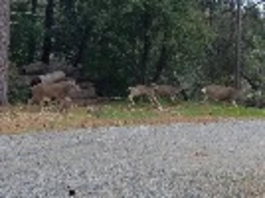 Photo of Others in Wishon