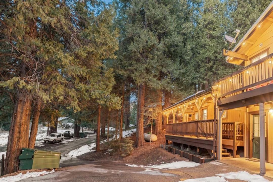 Photo of Others in Sugar Pine