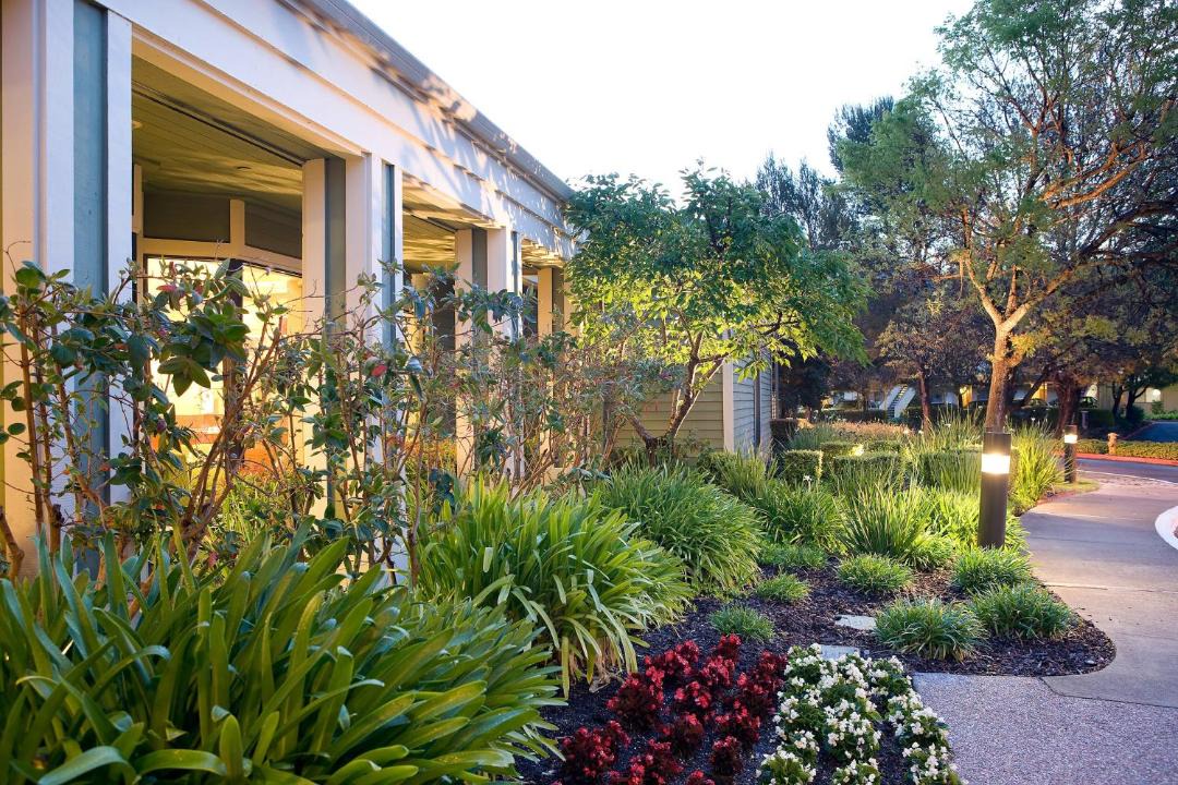 Photo of Others in Larkspur
