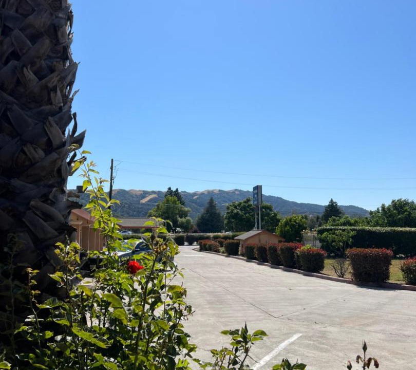 Photo of Others in Gilroy
