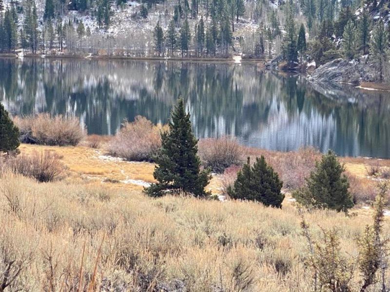 Photo of Others in June Lake
