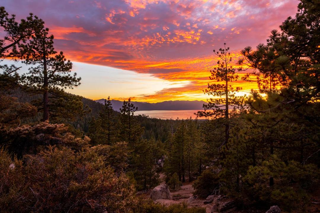 Photo of Others in Tahoe Village