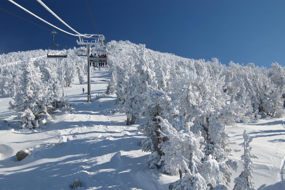 Photo of Others in Incline Village