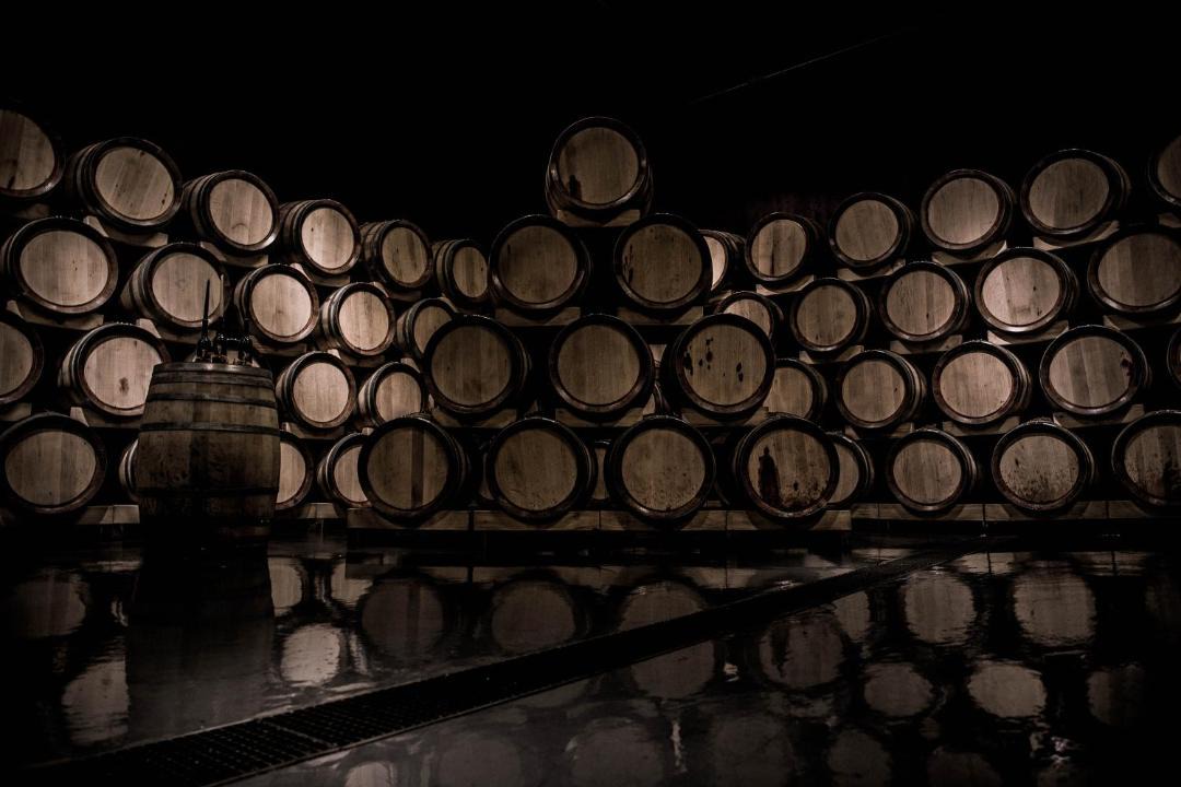 Photo of Others in Napa