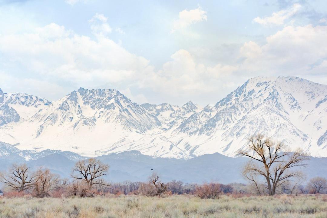 Photo of Others in Bishop