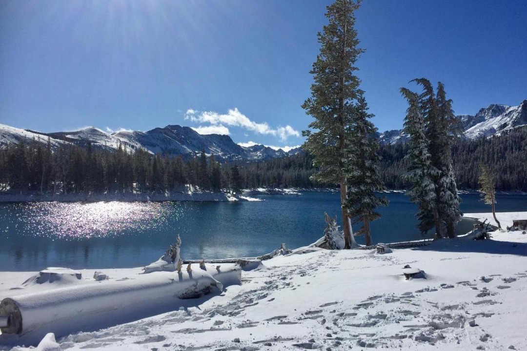 Photo of Others in Mammoth Lakes