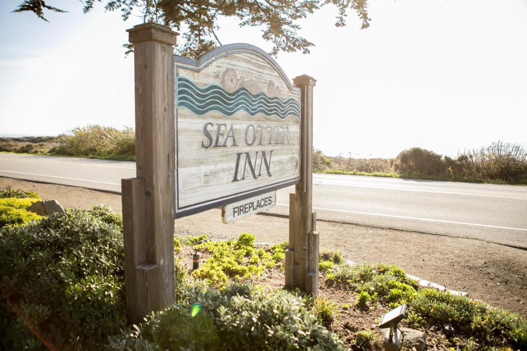 Photo of Others in San Simeon