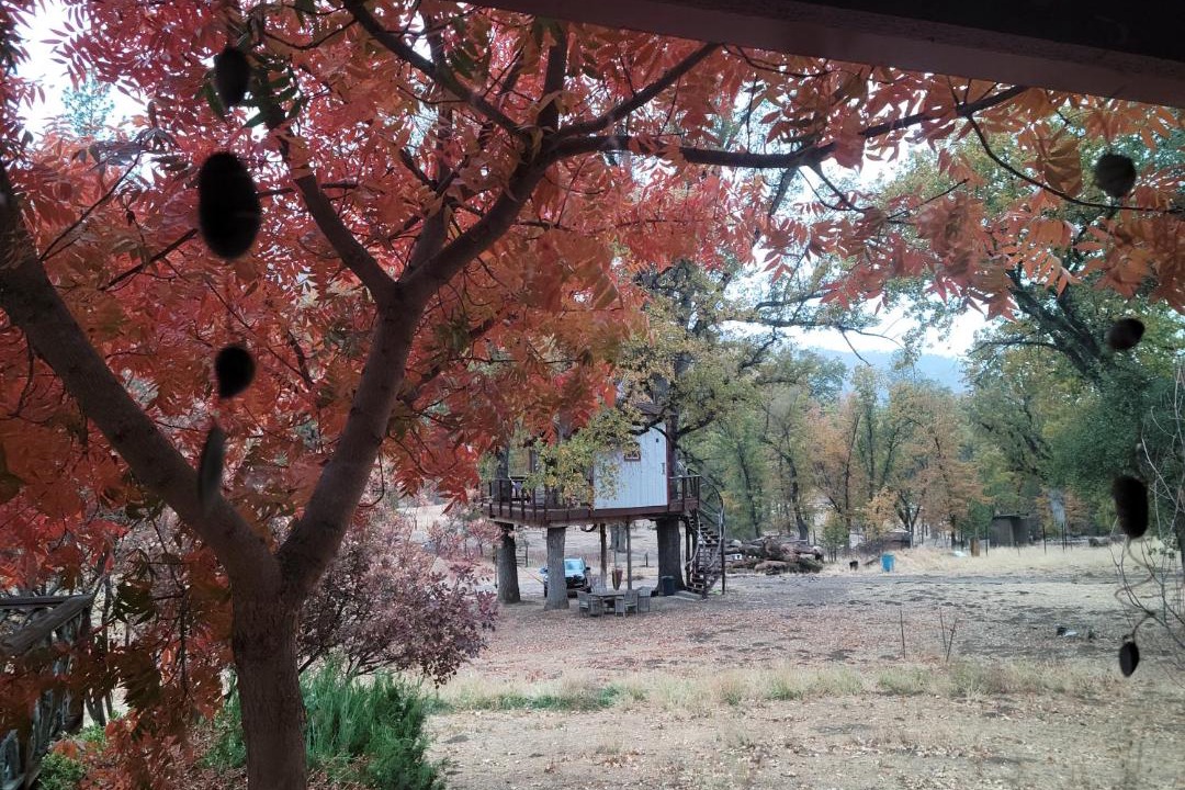 Photo of Buildings in Oakhurst