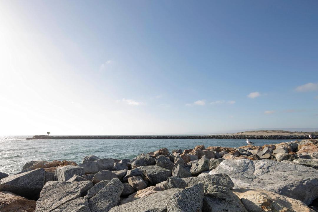 Photo of Others in Moss Landing
