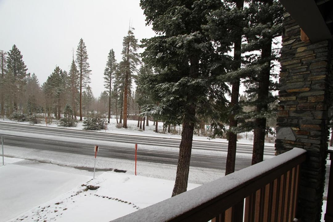 Photo of Others in Mammoth Lakes