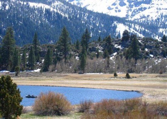 Photo of Others in June Lake