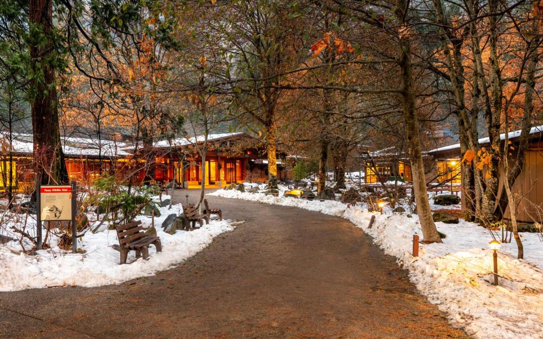 Photo of Others in Yosemite Village