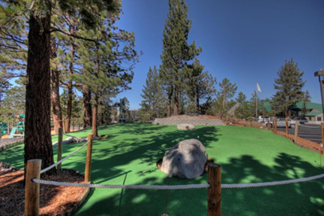 Photo of Others in Tahoe Village
