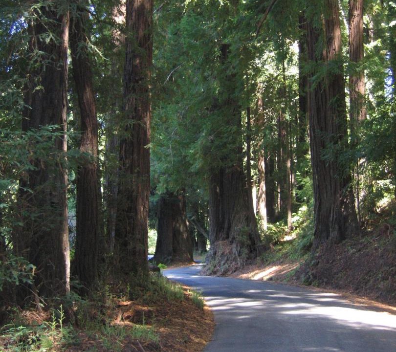 Photo of Others in Pescadero
