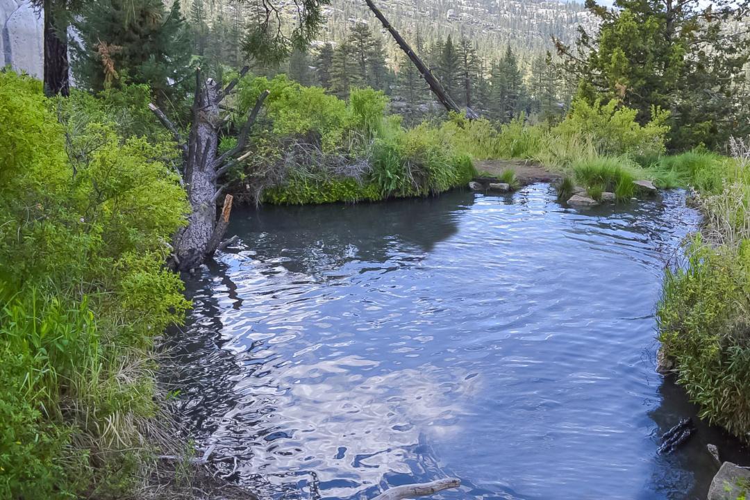 Photo of Others in Shaver Lake
