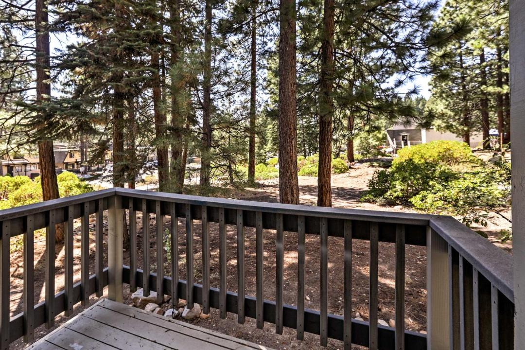 Photo of Others in Incline Village