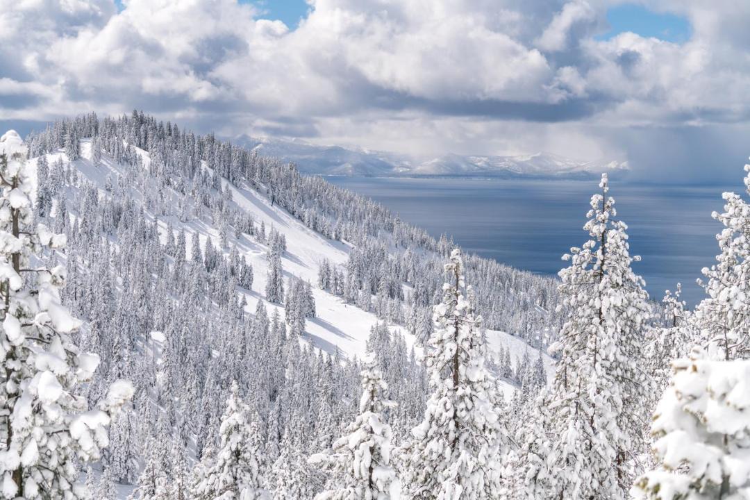 Photo of Outdoor in Incline Village