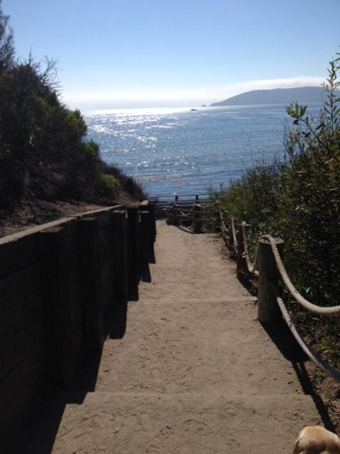 Photo of Others in Pismo Beach