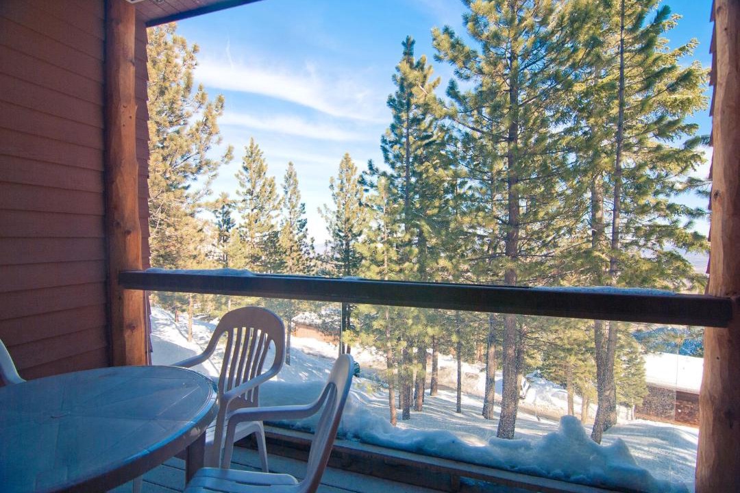 Photo of Others in Tahoe Village