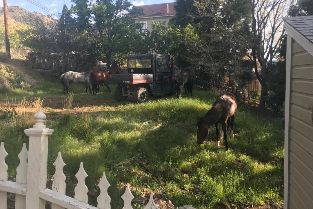 Photo of Others in Virginia City