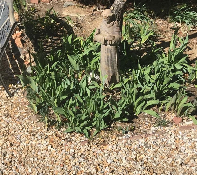 Photo of Others in Virginia City