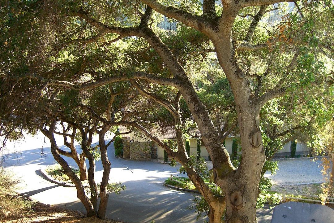 Photo of Others in Carmel Valley