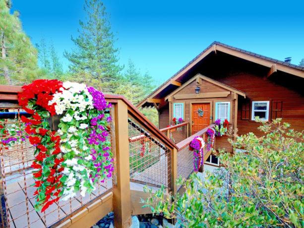 Photo of Others in Incline Village