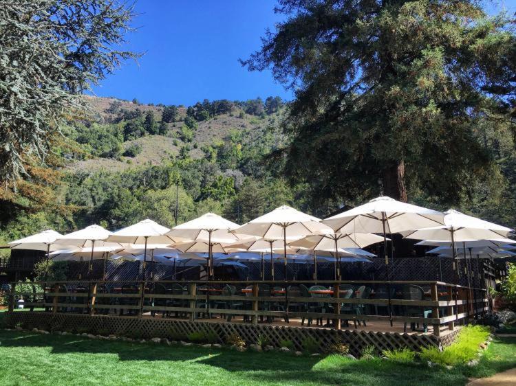 Photo of Others in Big Sur