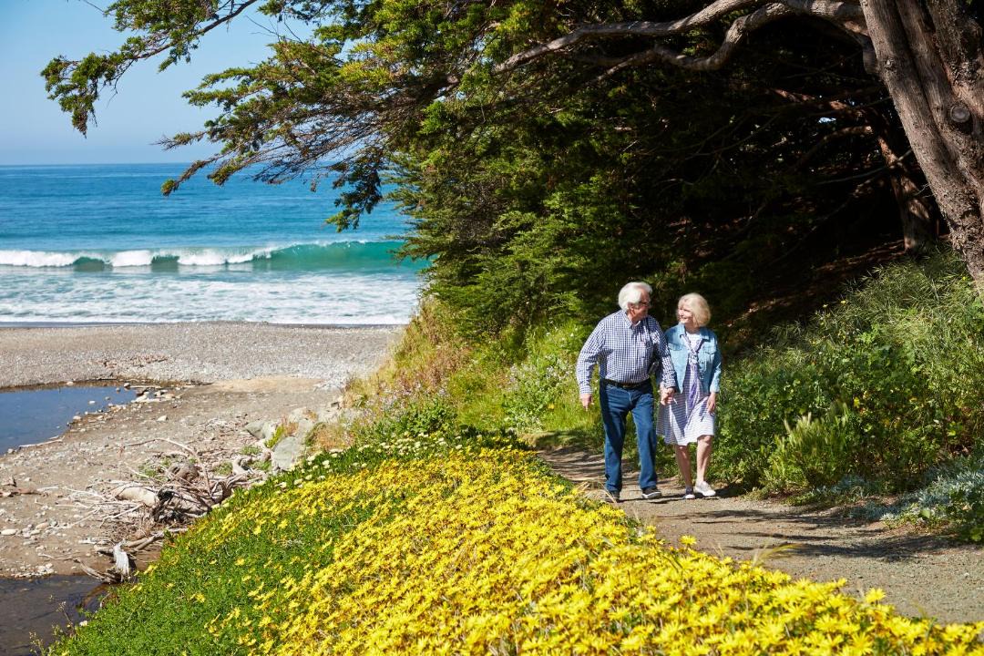 Photo of Others in San Simeon