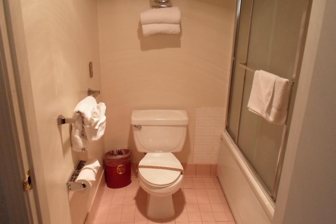 Photo of Bathroom in Garden Alameda