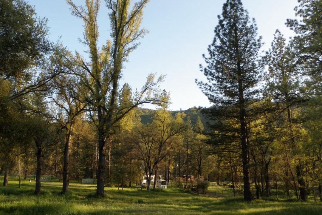 Photo of Others in Oakhurst