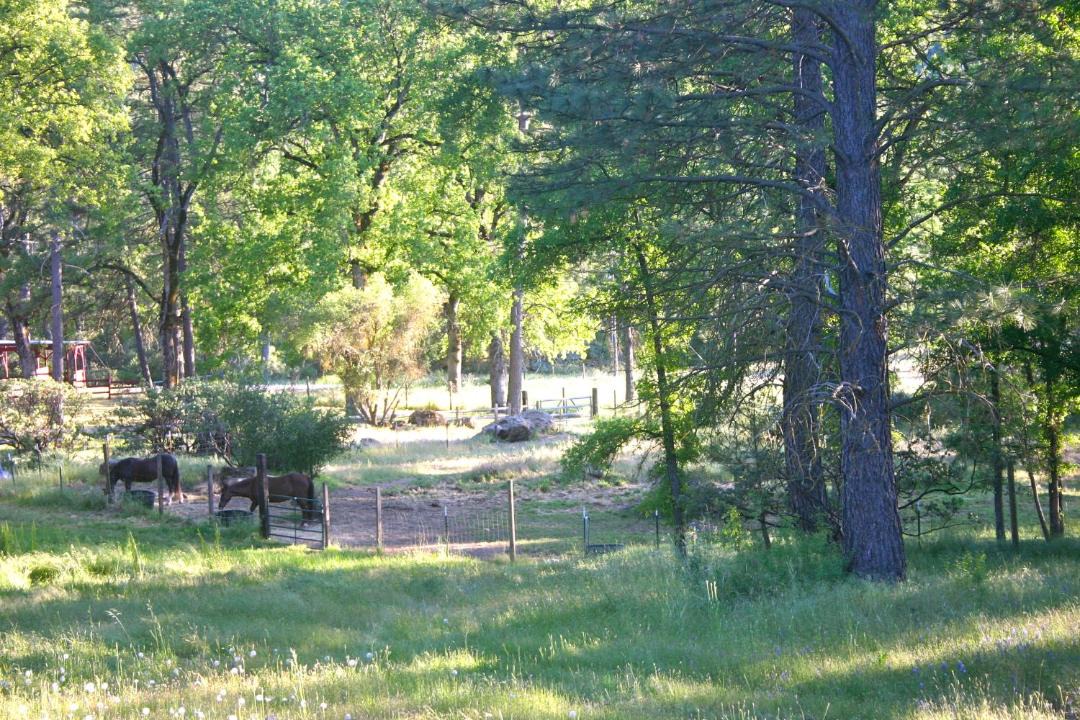 Photo of Others in Oakhurst