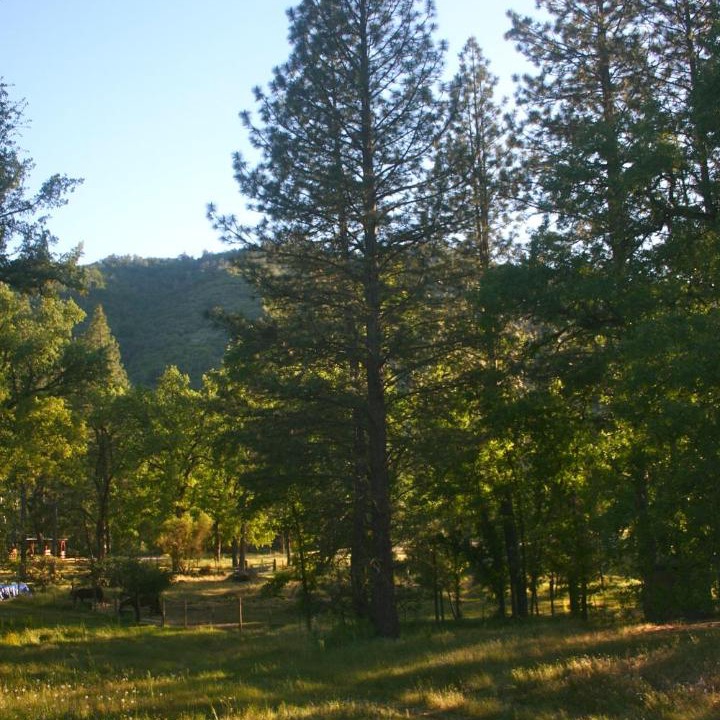Photo of Others in Oakhurst