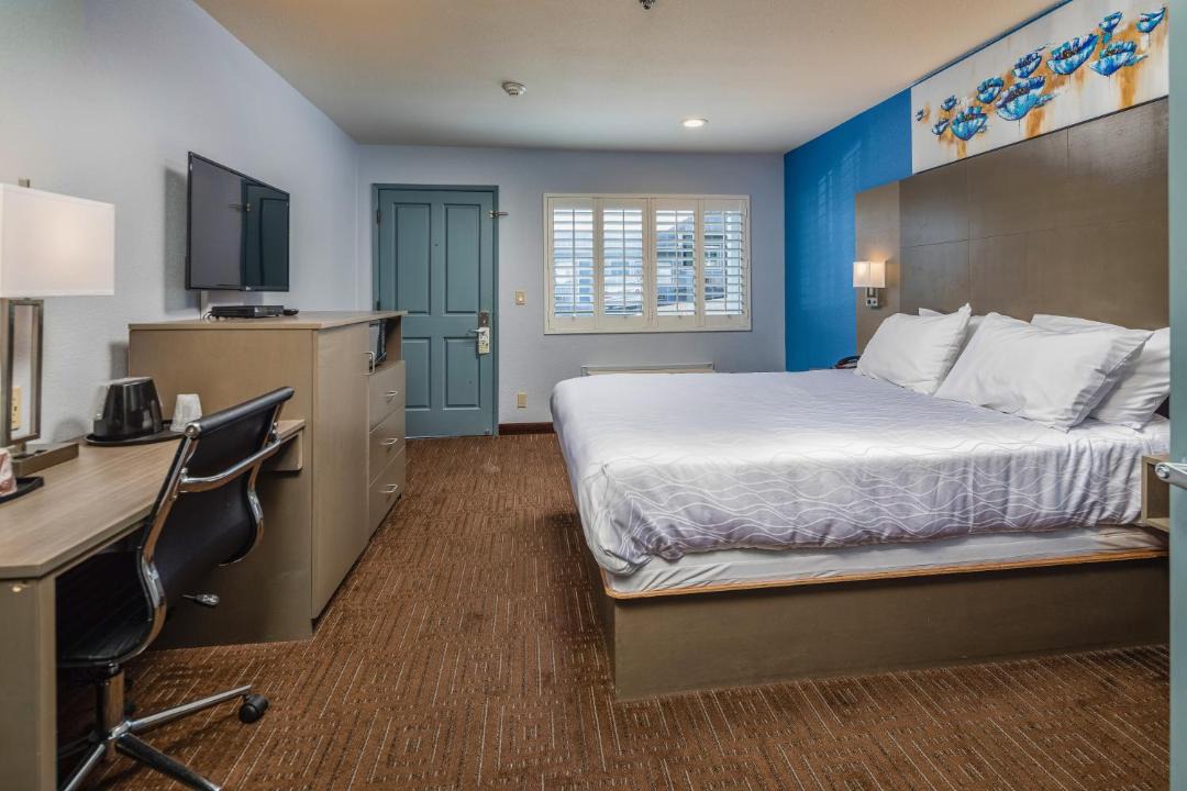 Photo of Bedroom in Belmont