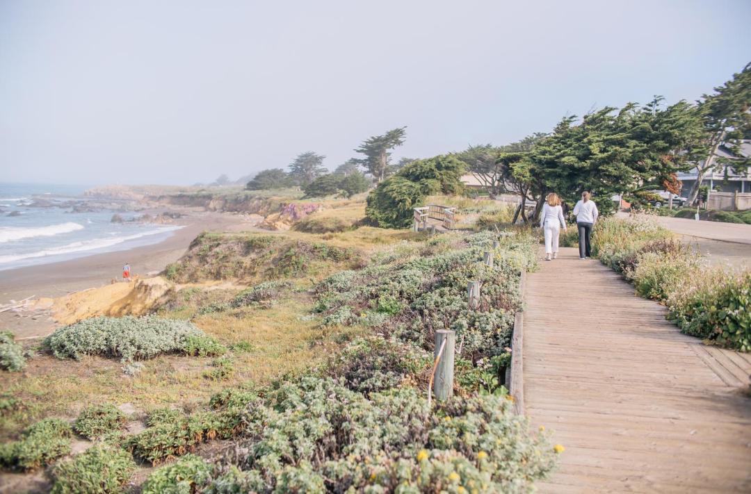 Photo of Others in San Simeon