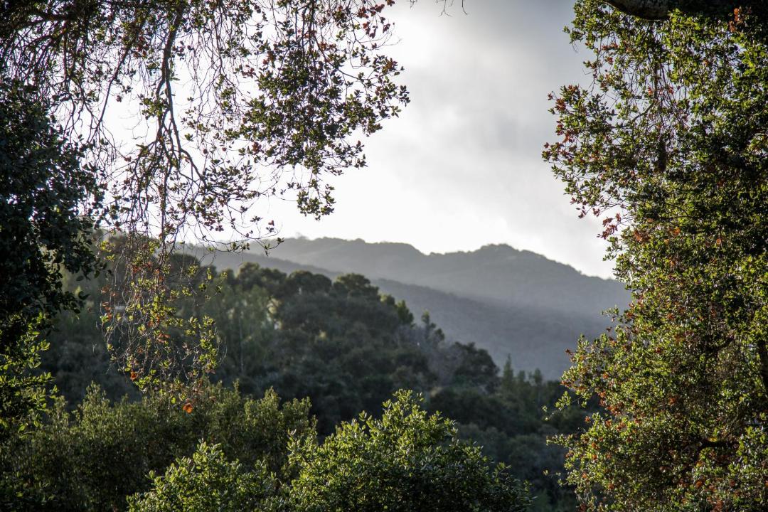 Photo of Others in Carmel Valley