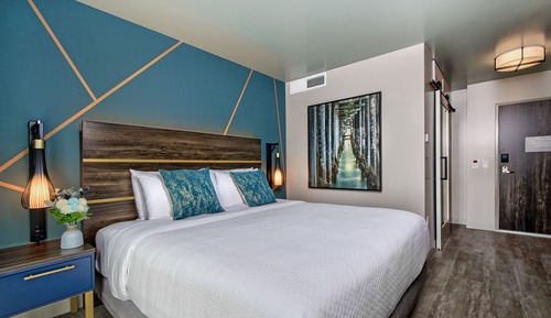 Room, 1 King Bed