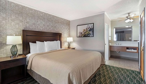 Deluxe Room, 1 King Bed, Non Smoking, Refrigerator & Microwave (with Sofabed)