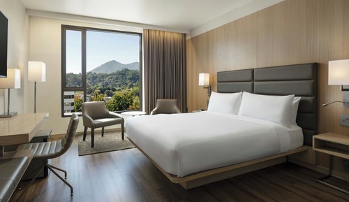 Deluxe Room, 1 King Bed, Mountain View