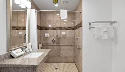 Classic Single Room, 1 King Bed, Accessible