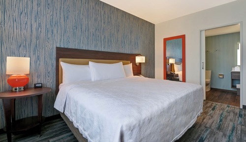 Suite, 1 King Bed, Accessible (Roll-In Shower)
