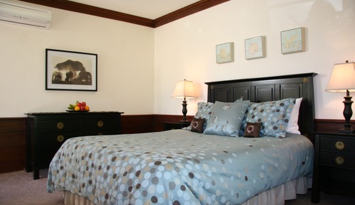 Room, 1 Queen Bed with Sofa bed (Bella Vista; No Television)