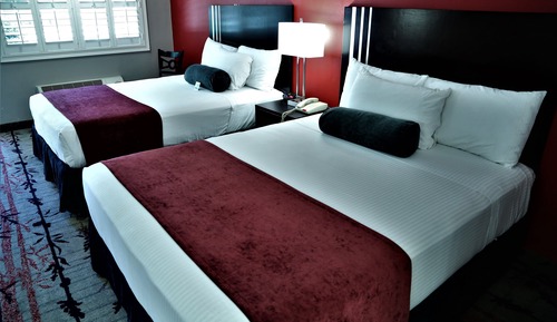 Standard Single Room, 2 Queen Beds, Non Smoking, Refrigerator & Microwave