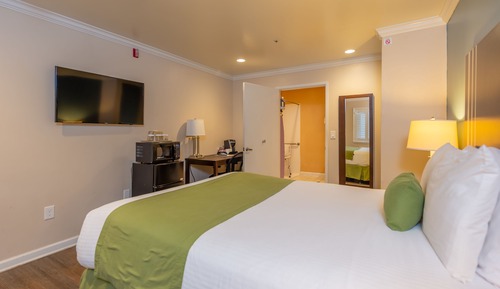 Room, 1 Queen Bed, Mobility Accessible