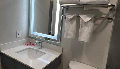 Suite, 1 King Bed, Non Smoking (Efficiency)