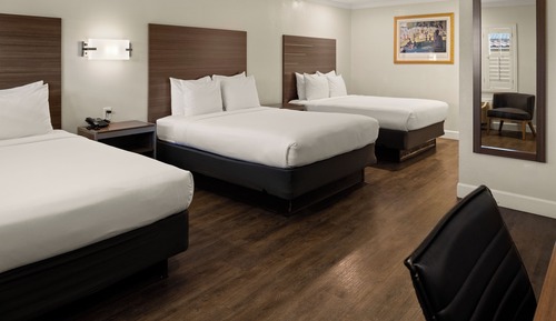 Family Room, Multiple Beds